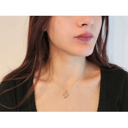 Rondine con zircone in oro Giallo 18kt foto indossata