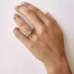 Photo of worn Ring Starfish Rose Gold
