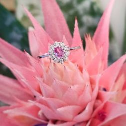 Kate ring Pink Sapphire