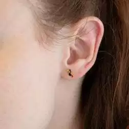 Photo of worn Enamelled Toucan Earrings