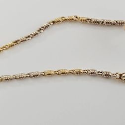 Yellow and White Gold Spring Chain Bracelet