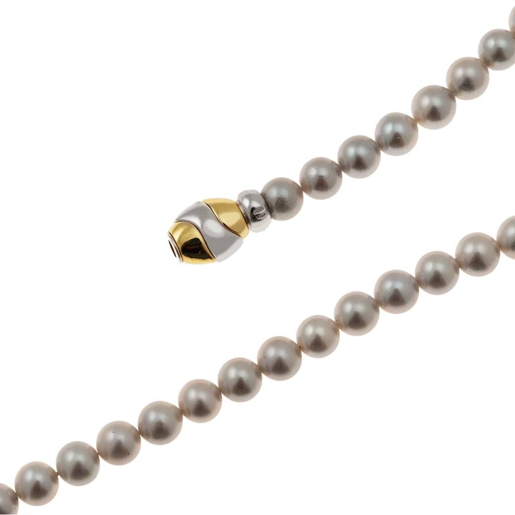 Gray Akoya pearls necklace oval box clasp Bicolor