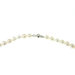 Collana Perle 5.5mm Sfera 6mm Oro Bianco - 42cm