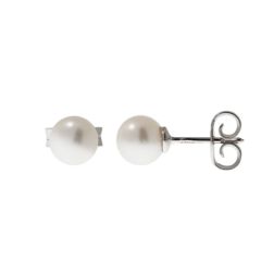 Earrings with 5.5mm freshwater pearls in white gold
