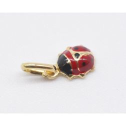 Small Lady Bug
