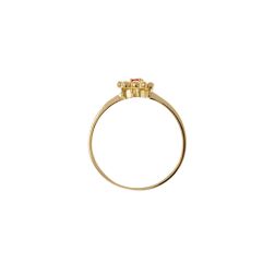 Anello Solitario Easy Love Rubino Oro Giallo