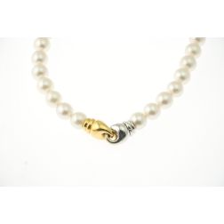 Australian Pearls Scalar Necklace