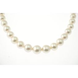 Australian Pearls Scalar Necklace