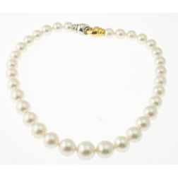 Australian Pearls Scalar Necklace