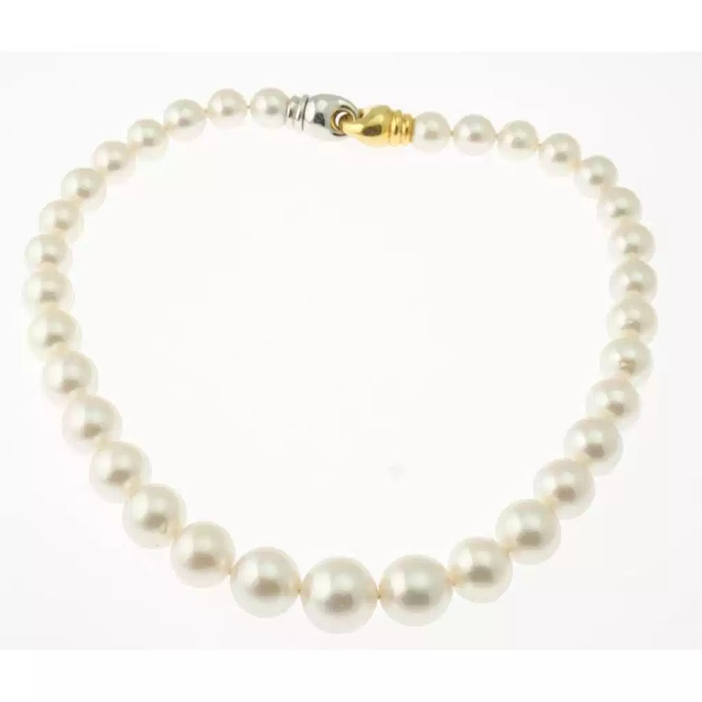 Australian Pearls Scalar Necklace