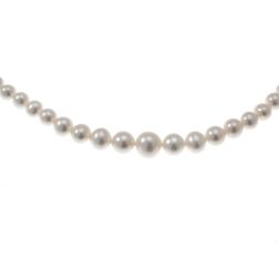 Scaled Pearl Necklace 9.7mm - 3.3mm - White Gold Lobster Clasp