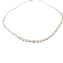 Scaled Pearl Necklace 9.7mm - 3.3mm - White Gold Lobster Clasp