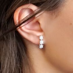 Photo of worn Trilogy Sparkling Flowers Earrings