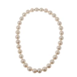 Freshwater pearl necklace with a Hidden Clasp in 18kt White Gold