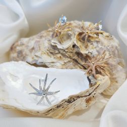 Anello Stella Marina a filo con Diamanti in Oro Bianco