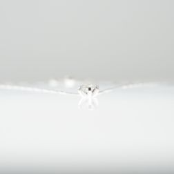 Girocollo Punto Luce Sole di Diamante