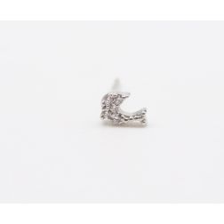 Dolphin shape earrings