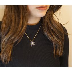 Photo of worn Necklace with Star and Blue and White Zircons