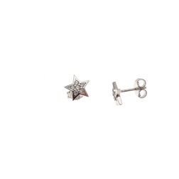 Star earrings with zircons and white gold border