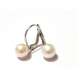Classic Pearl Earrings 7.5mm white gold
