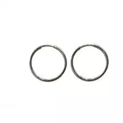 Boccole cerchi 1.6cm x 1mm in oro bianco