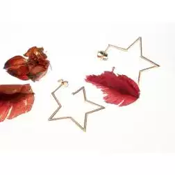 Orecchini Boccole a Stella in oro Rosa