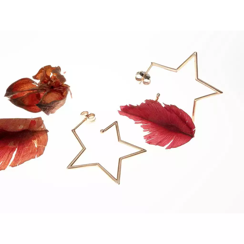 Orecchini Boccole a Stella in oro Rosa