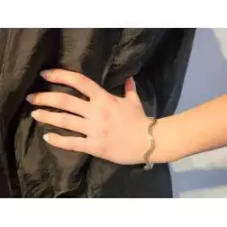 Bracciale Rigido Due Fili Satinati e Lucidi  foto indossata